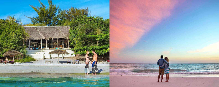 Sunshine Honeymoon Co.