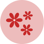 Flower-img